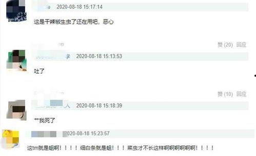 火锅店最新爆料视频下载,火辣幕后大揭秘！